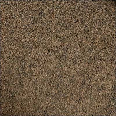 Well Mannered Swatch