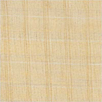 Background Check Swatch