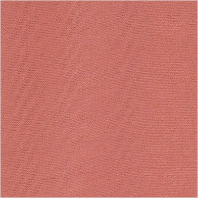 Coral Beach Swatch