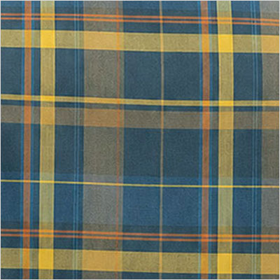 Plaid About You Swatch