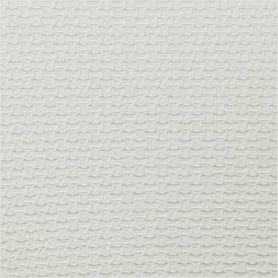 Coconut Swatch