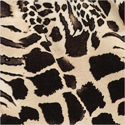 Vanishing Species Swatch