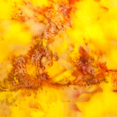 Yellow Fabrics